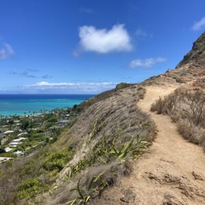 Picture of Lanikai Pillbox trail